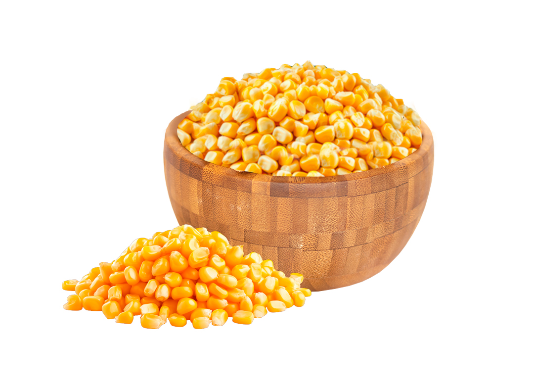 Milho para Pipoca a Granel - Imagem 2