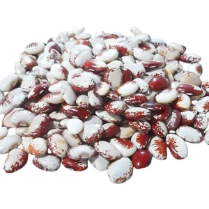 Fava Rajada Vermelha a Granel