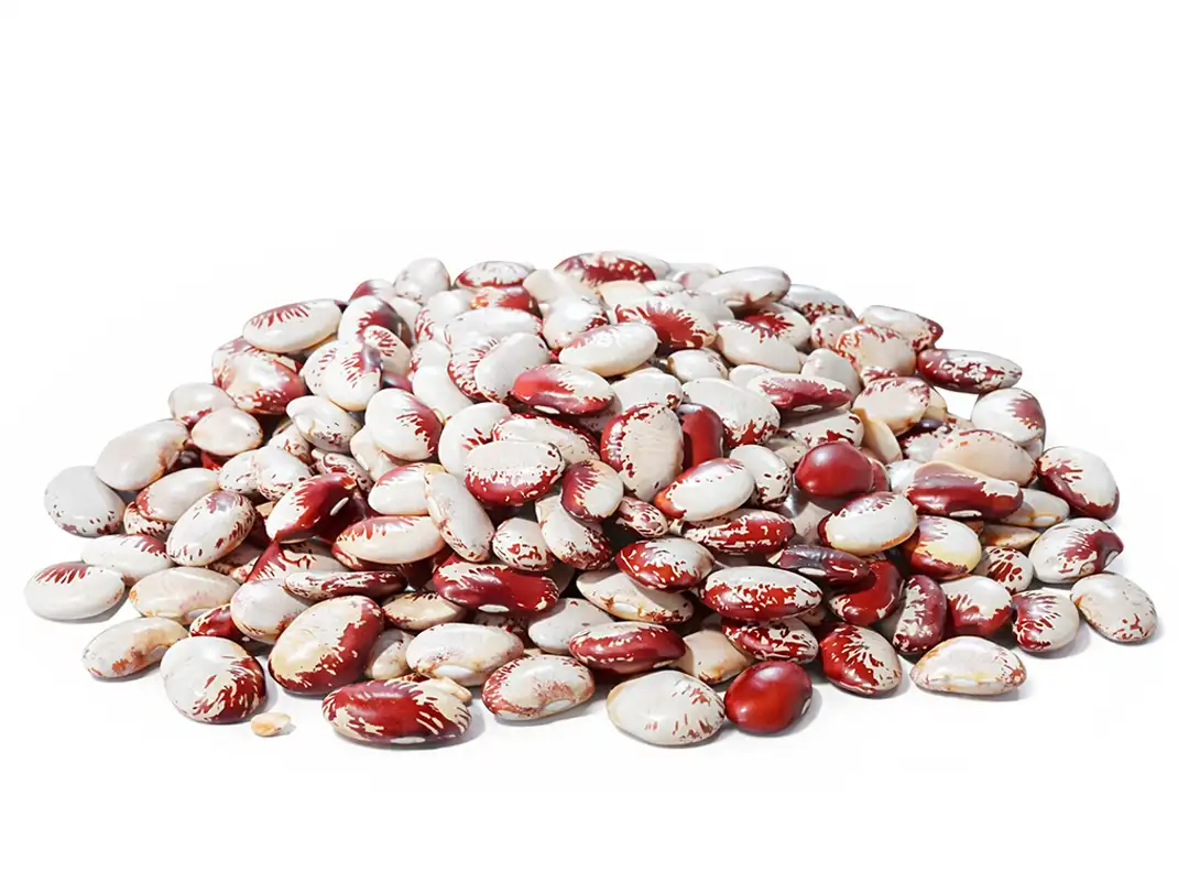 Fava Rajada Vermelha a Granel