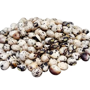 Feijão Andu a Granel