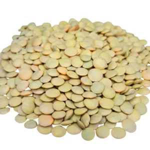 Lentilha Verde a Granel