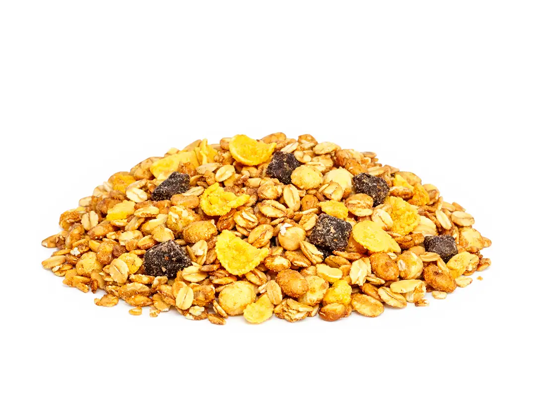 Granola Com Frutas Zero Açúcar a Granel