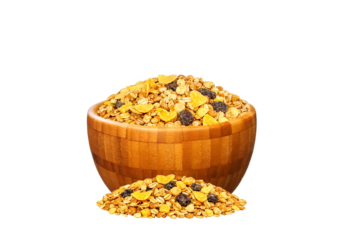 Granola Com Frutas Zero Açúcar a Granel - Imagem 2