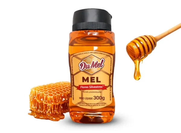 Mel Bisnaga Flores Silvestres 300g – Du Mel - Casa do Norte Cantinho ...